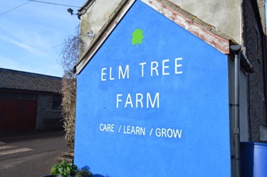 Elm Tree Farm